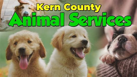 kern county animal services bakersfield ca.